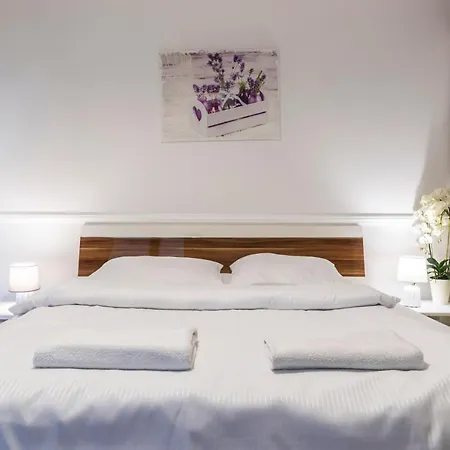 Tatrytop Tetmajer Centrum Apartman